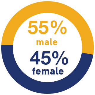 Illustrative chart of statistic