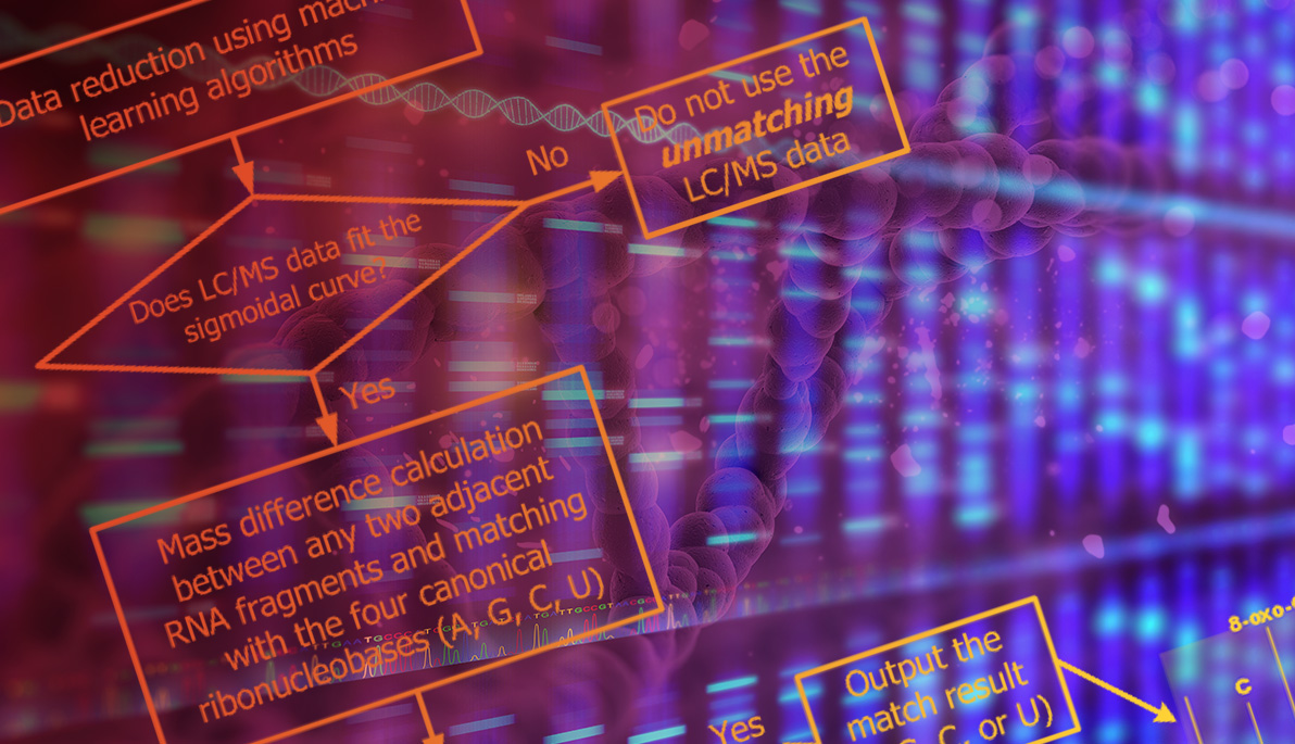 RNA molecules and algorithms.