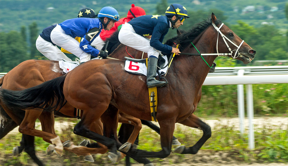 Jockey on a horse