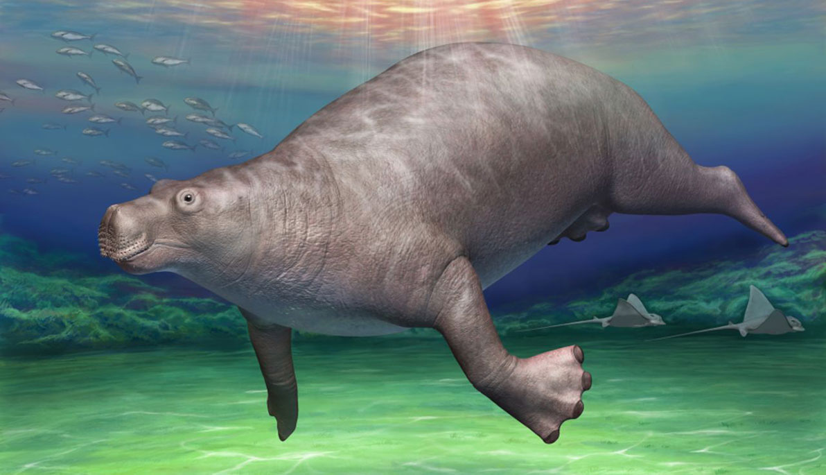 A Paleoparadoxia A Paleoparadoxia