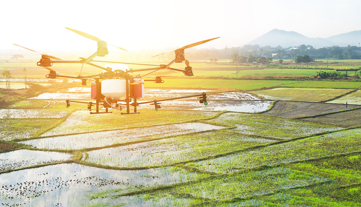 Drone flying over crop field.