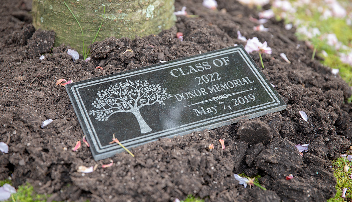 Plaque from the Class of 2022 Plaque from the Class of 2022