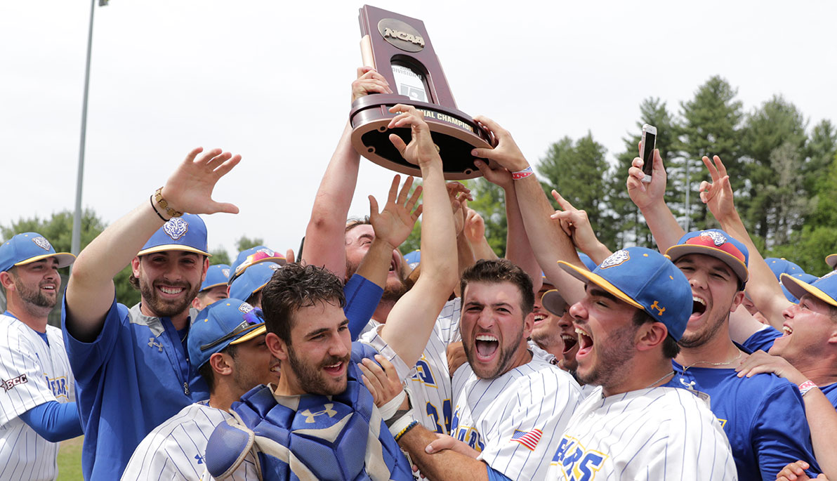 The Bears Are Headed to the World Series!