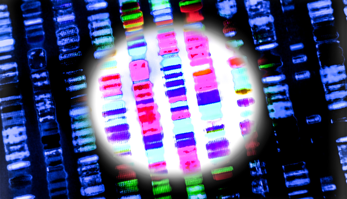 DNA sequence