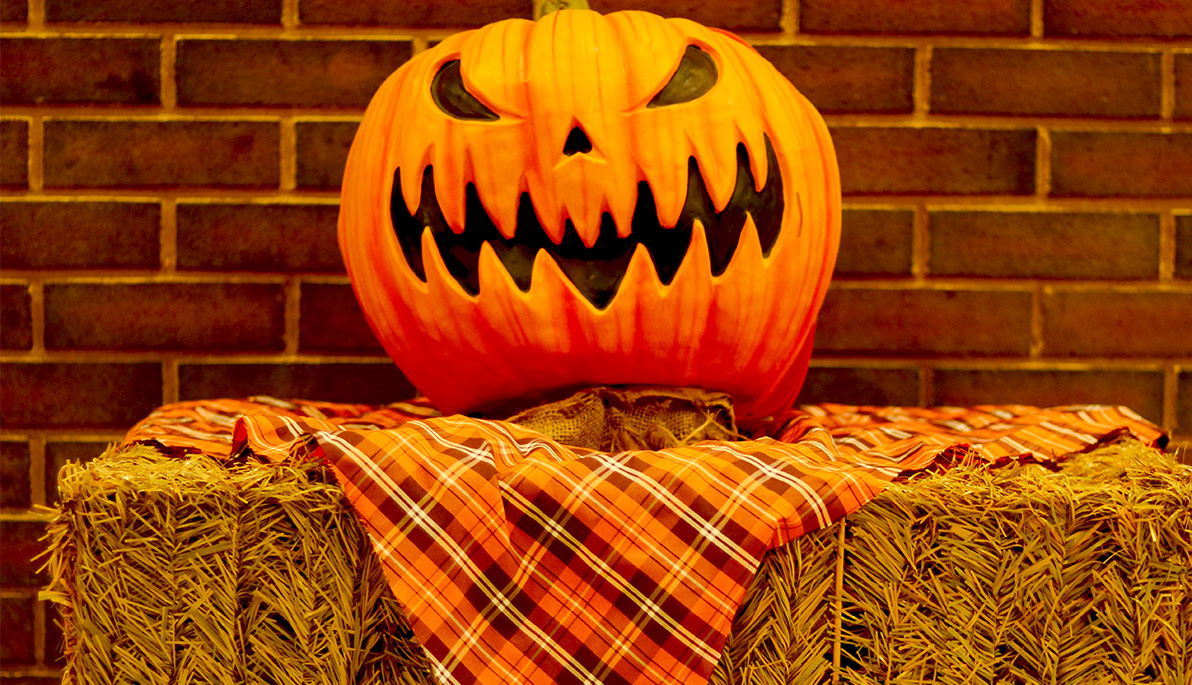 School of Health Professions Hosts Long Island’s First Accessible Haunted House School of Health Professions Hosts Long Island’s First Accessible Haunted House