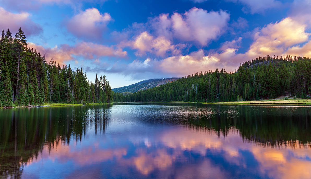 Lake surrounded by trees.