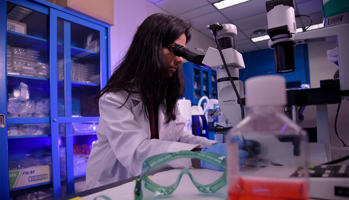 New York Tech student in a lab looking through a microscope.