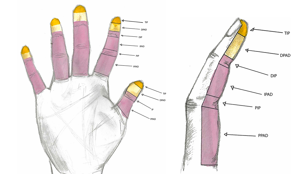 Why Sense of Touch Varies Among Individuals