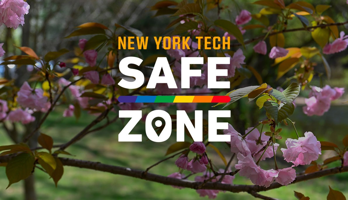 Safe Zone Project logo