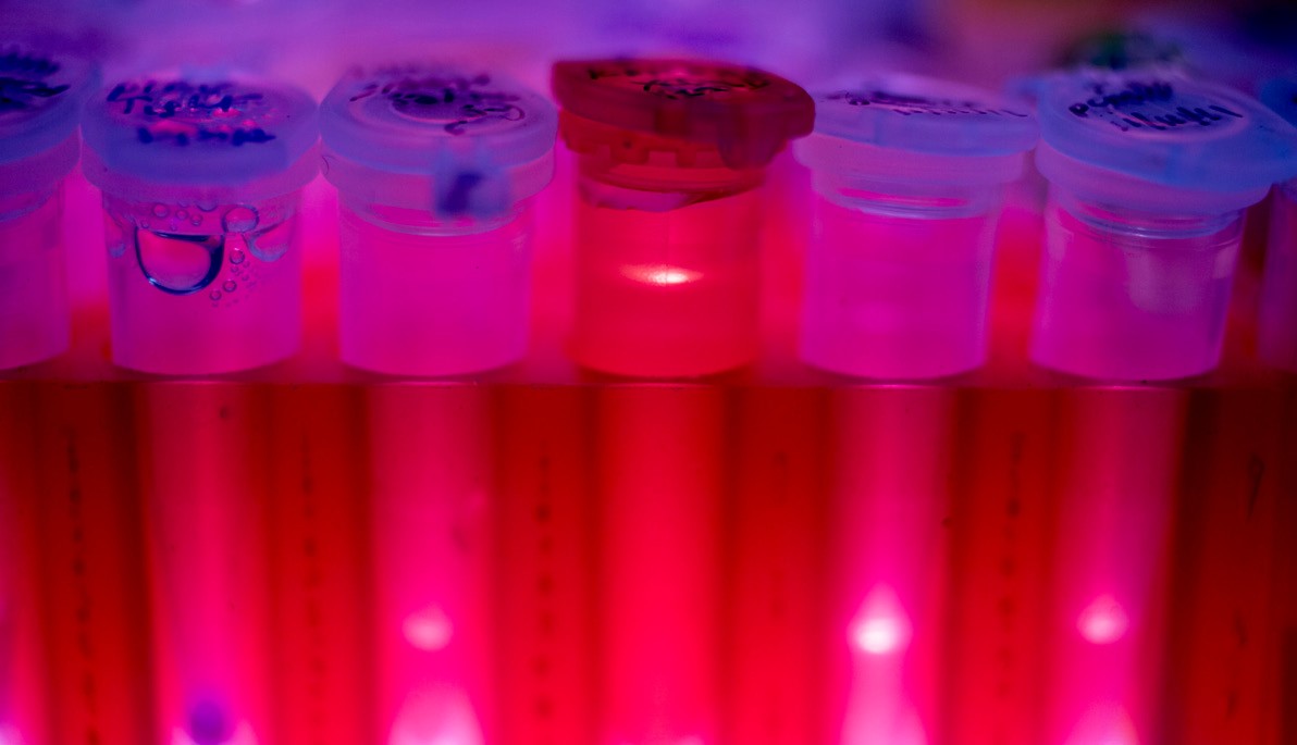 Photo of test tubes