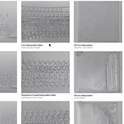  B.Arch 501-502, Informed Interscalar Fluidity, Thesis Studio, Associate Professor Pablo Lorenzo-Eiroa, F2019 and S2020. The thesis studio worked on a full-scale synthetic interactive immersive architecture installation for the 