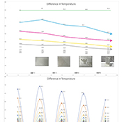  B.Arch 501-502, Informed Interscalar Fluidity, Thesis Studio, Associate Professor Pablo Lorenzo-Eiroa, F2019 and S2020. The thesis studio worked on a full-scale synthetic interactive immersive architecture installation for the 