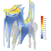  B.Arch 501-502, Informed Interscalar Fluidity, Thesis Studio, Associate Professor Pablo Lorenzo-Eiroa, F2019 and S2020. The thesis studio worked on a full-scale synthetic interactive immersive architecture installation for the 