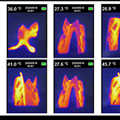  B.Arch 501-502, Informed Interscalar Fluidity, Thesis Studio, Associate Professor Pablo Lorenzo-Eiroa, F2019 and S2020. The thesis studio worked on a full-scale synthetic interactive immersive architecture installation for the 