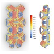  B.Arch 501-502, Informed Interscalar Fluidity, Thesis Studio, Associate Professor Pablo Lorenzo-Eiroa, F2019 and S2020. The thesis studio worked on a full-scale synthetic interactive immersive architecture installation for the 