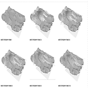  B.Arch 501-502, Informed Interscalar Fluidity, Thesis Studio, Associate Professor Pablo Lorenzo-Eiroa, F2019 and S2020. The thesis studio worked on a full-scale synthetic interactive immersive architecture installation for the 