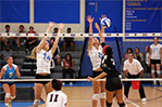 <strong>Women's Volleyball Team Celebrates Milestones in 2015</strong> Head Coach Gail Wasmus (M.P.S. '80) discussed her experiences at NYIT. "Being at NYIT feels like I'm with my family," says Wasmus. "Working with people for a long time has allowed me to know them on a personal level and makes our bond even stronger. There is a good sense of camaraderie in the Department of Athletics due to new administrative staff and that makes me glad to come to work every day."