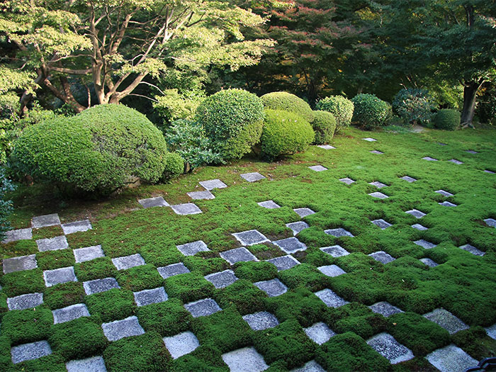 Tofuku-ji (Japanese temple in Kyoto)