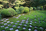 Tofuku-ji (Japanese temple in Kyoto)