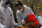 Students bring buckets of dirt to sift through.