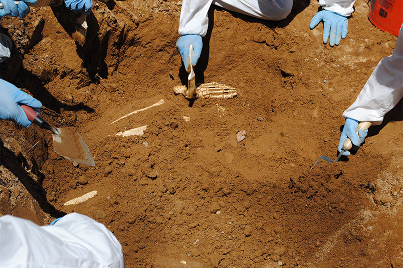 Students uncover the bones.