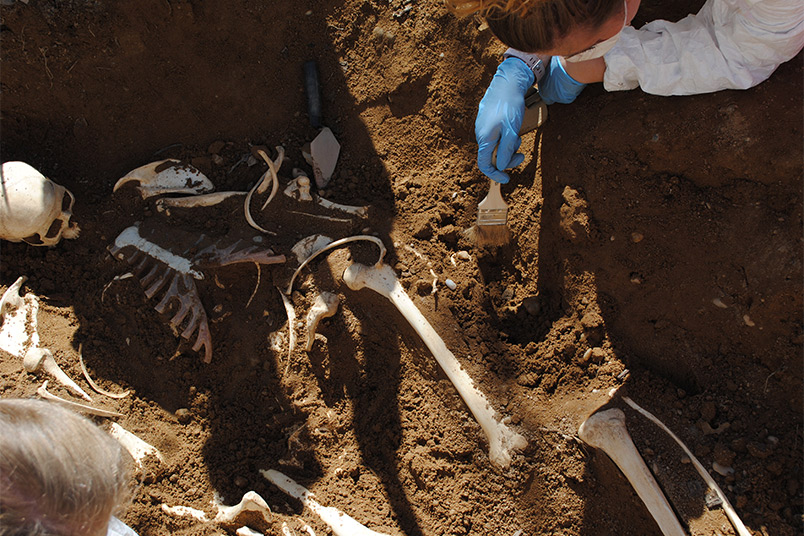 Students carefully brush away the dirt to reveal the buried body.