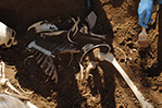 Students carefully brush away the dirt to reveal the buried body.