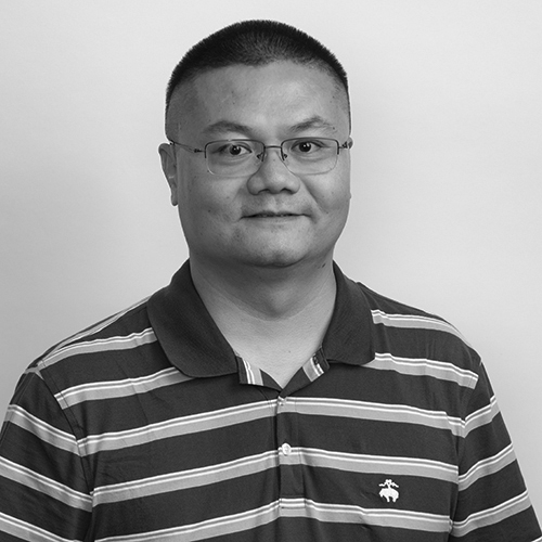 Wei Zeng | Bio | New York Tech