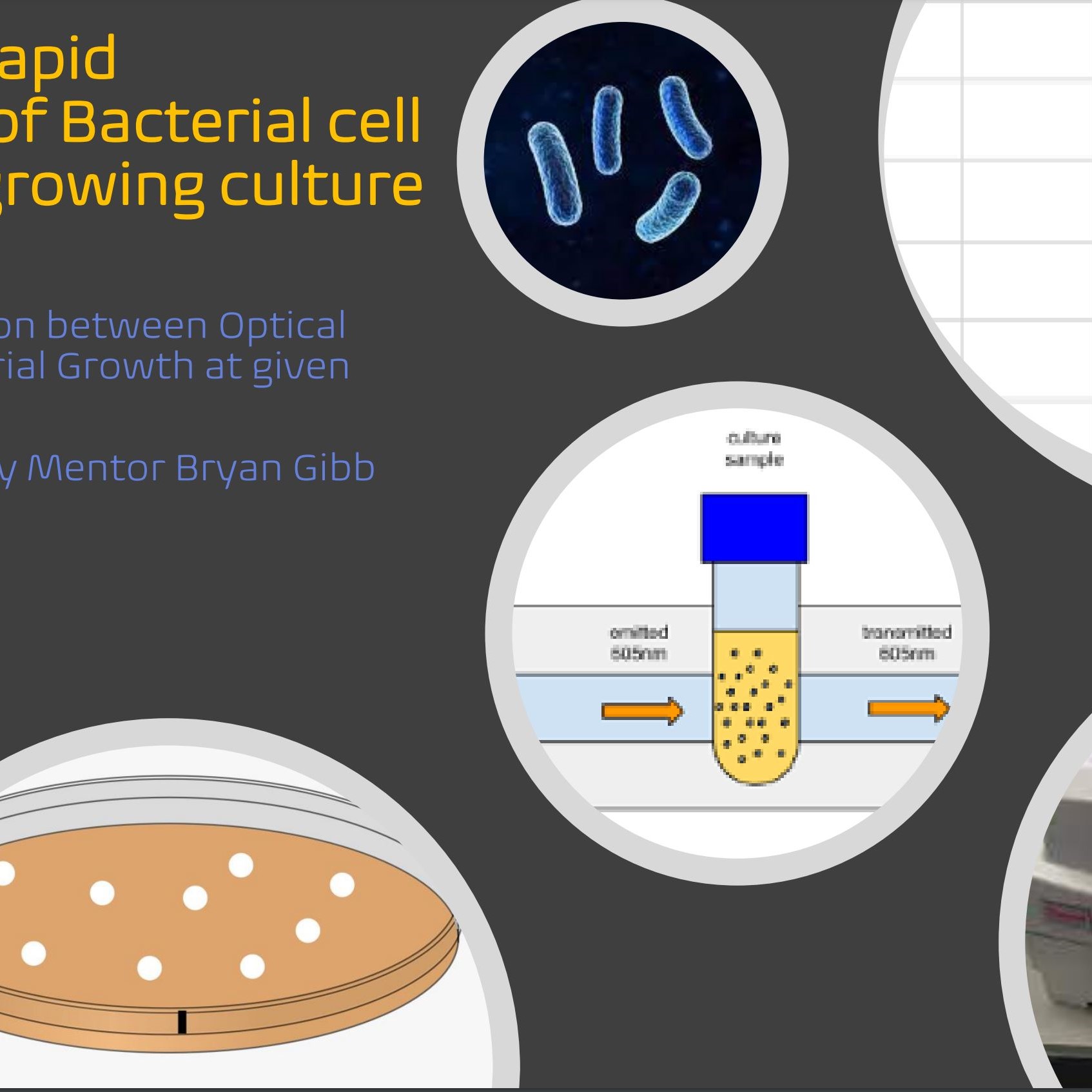 Method for rapid
assessment of Bacterial cell
density in a growing culture